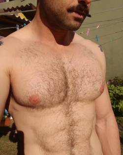 Hairy Male