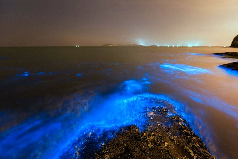 nubbsgalore:  though beautiful, these fluorescent blue patches of water are an indicator