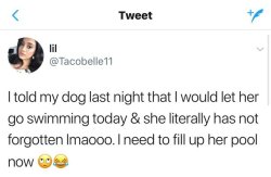 little-canadian-rugger: pinkrosehippy: “she’s gonna fill this pool today, got me fucked up”  For a sec i thought “dogs aren’t dumb they don’t forget something in one day wtf” then realised that dogs don’t actually understand english…