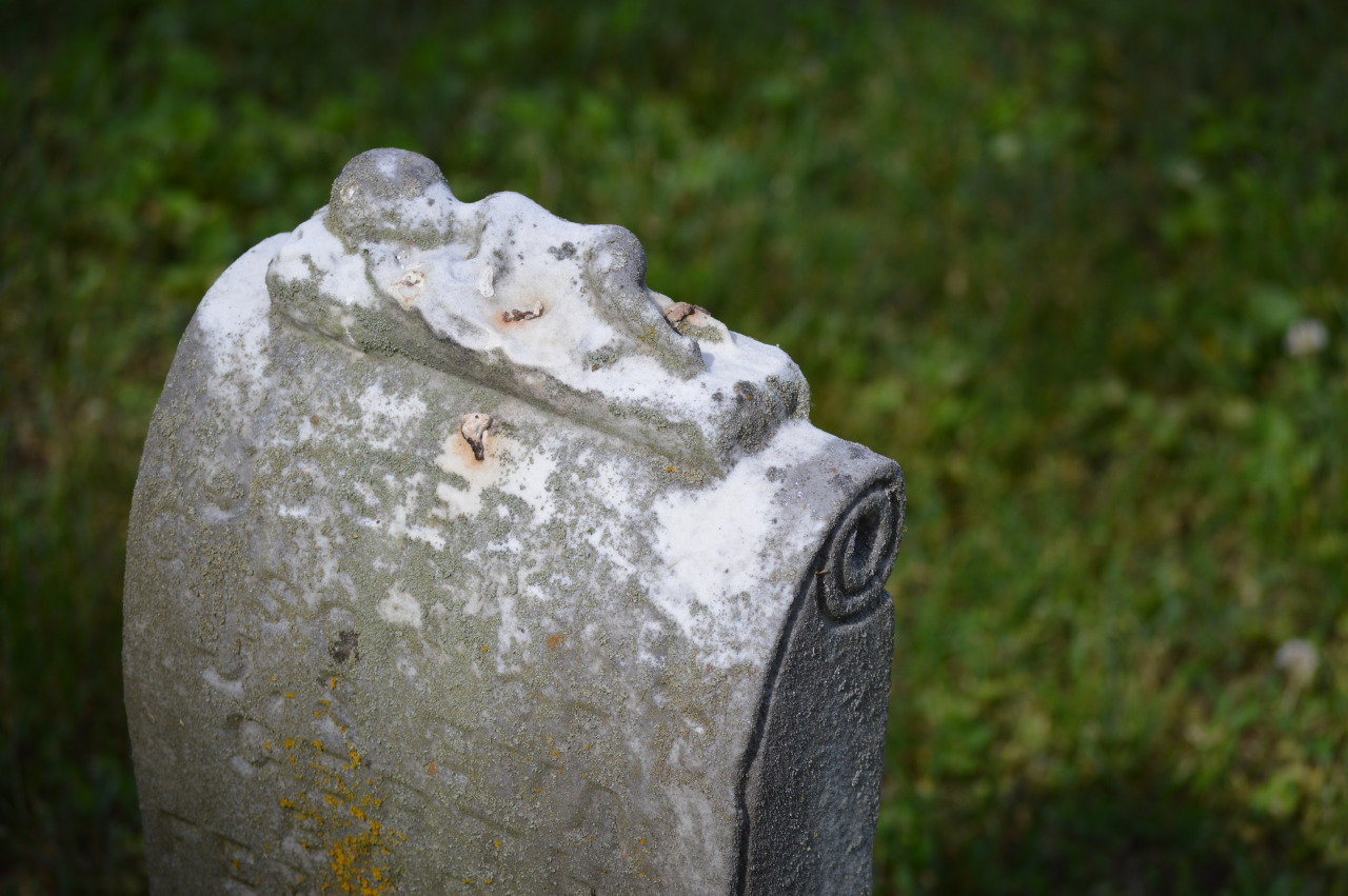 daydreaminggenius:  My dad’s house is situated by St. Pius Cemetery, an old Catholic