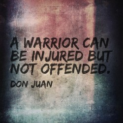 inhabitude:  inhabitude:  #warrior #donjuan  A needed reminder…
