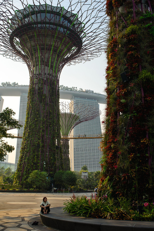 thecarboncoast:breathtakingdestinations:Singapore (by Mikhail Koninin) I’ve been wai
