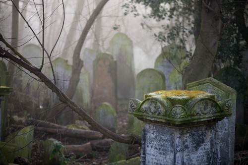 darkface:  500px / City Cemetery by duncan george 