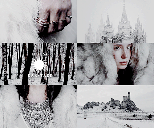 winterfellsrose:a song of ice and fire aesthetics:THE N O R T H