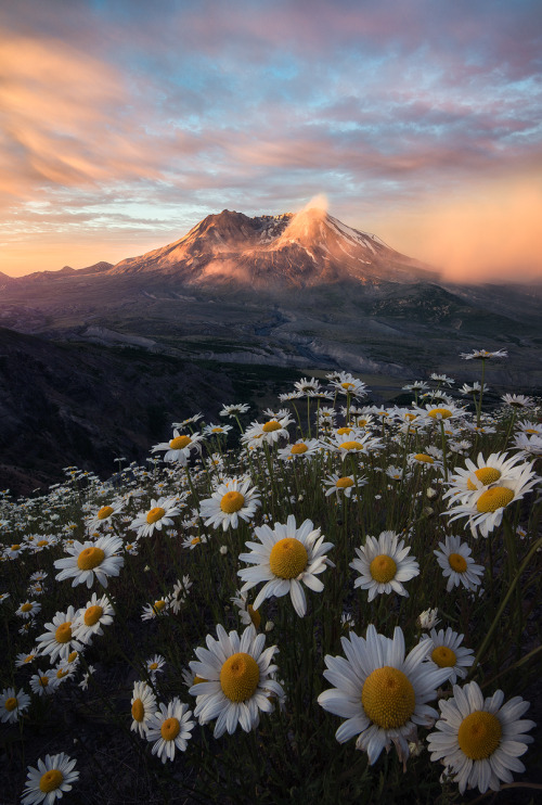 amazinglybeautifulphotography:  40 years ago today, Mount St. Helens erupted (OC) [809x1200] @ross_schram - Author: debuggerfly on reddit