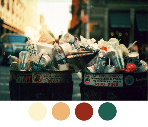 buzzfeed:  13 Beautiful Color Palettes Inspired By NYC Garbage
