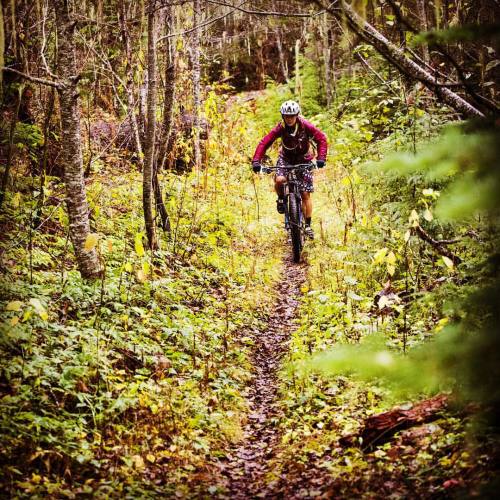 thewideeyedworld:  #PNW wonderland. #mountainbiking #traillove #traveloregon #oror #outsideisfree (a