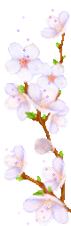 flower.