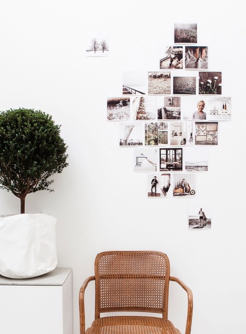 [ via: cocolapinedesign.com ]