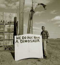 darksilenceinsuburbia:  Steve Fitch Snakepit operator, Highway 66, Sayre, Oklahoma, 1973 Motel, Highway 101, Uklah, California, 1974 Truckstop, Highway 58, Bakersfield, California, 1972 Dinosaur, Highway 40, Vernal, Utah, 1974 Truckstop waitress, Highway