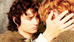 ianmckellen:  lotr meme: six bro/otp’s (2/6) → Frodo and Sam &ldquo;I made