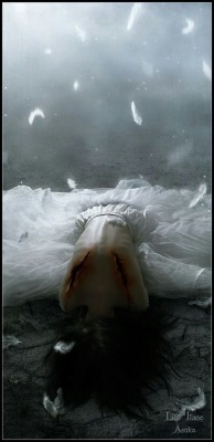 lorijoloveshorses:  Fallen Angel