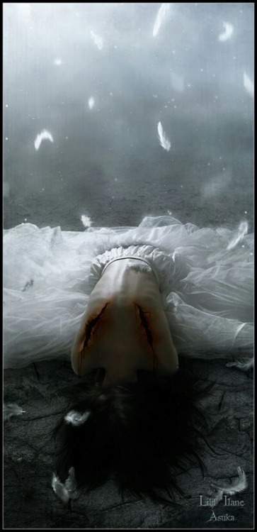 lorijoloveshorses:  Fallen Angel