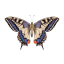 ifairypeek