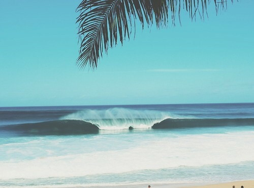 surfursparadise:  ☀follow for more summer☀