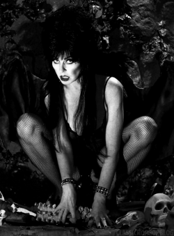 classichorrorblog:Elvira