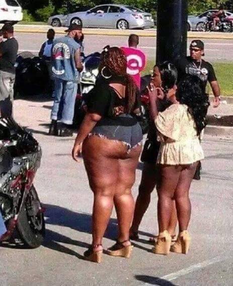 I LUV THICK BIGBOOTY CHICKS