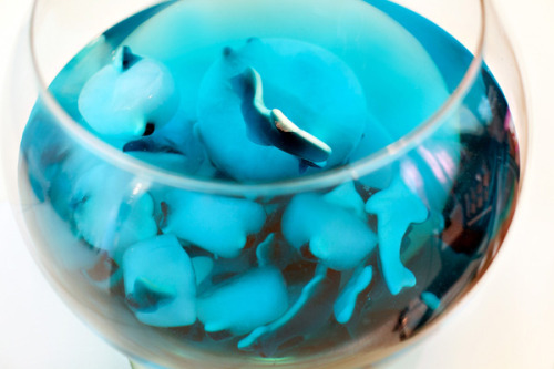 thecakebar:     thecakebar:  Sharknado Glacier Punch Tutorial   