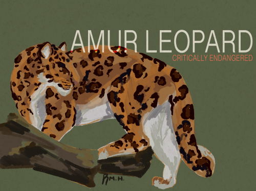 Part Of My Endangered Species Project