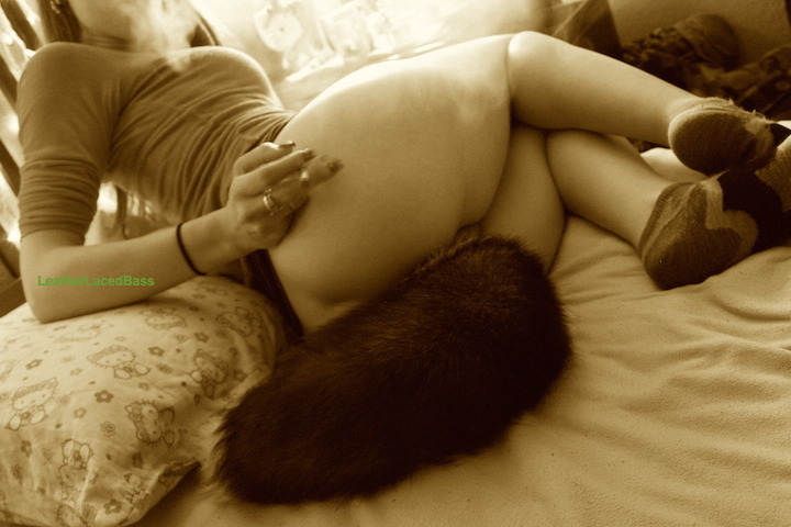 leatherlacedbass:  Stoney Kitten&ldquo;Your enemies are fortunate your condition