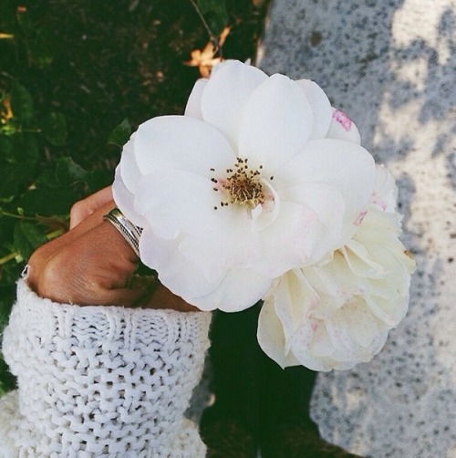 ❁❁❁❁❁