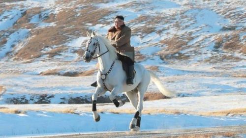 A series of photos released by state media show North Korean leader Kim Jong-un astride a white hors