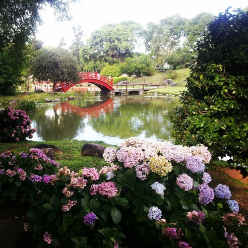 wdbrkbrmghm: married-night: Japanese Garden in Buenos Aires, Argentina  え～～行ってみたい。