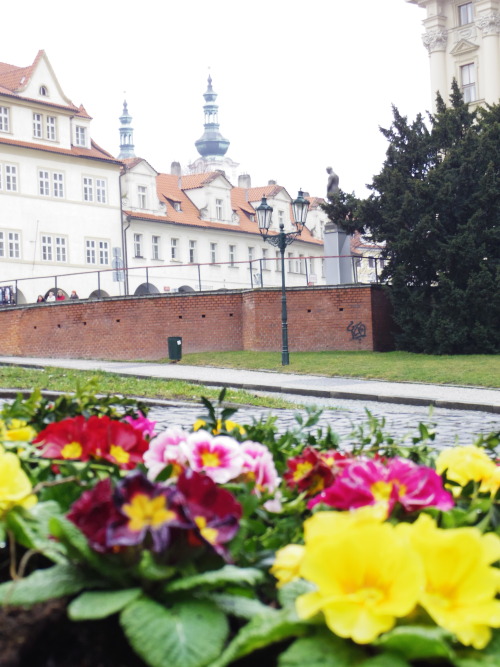 My trip to Prague Mar/15 Strahov library - strolling town