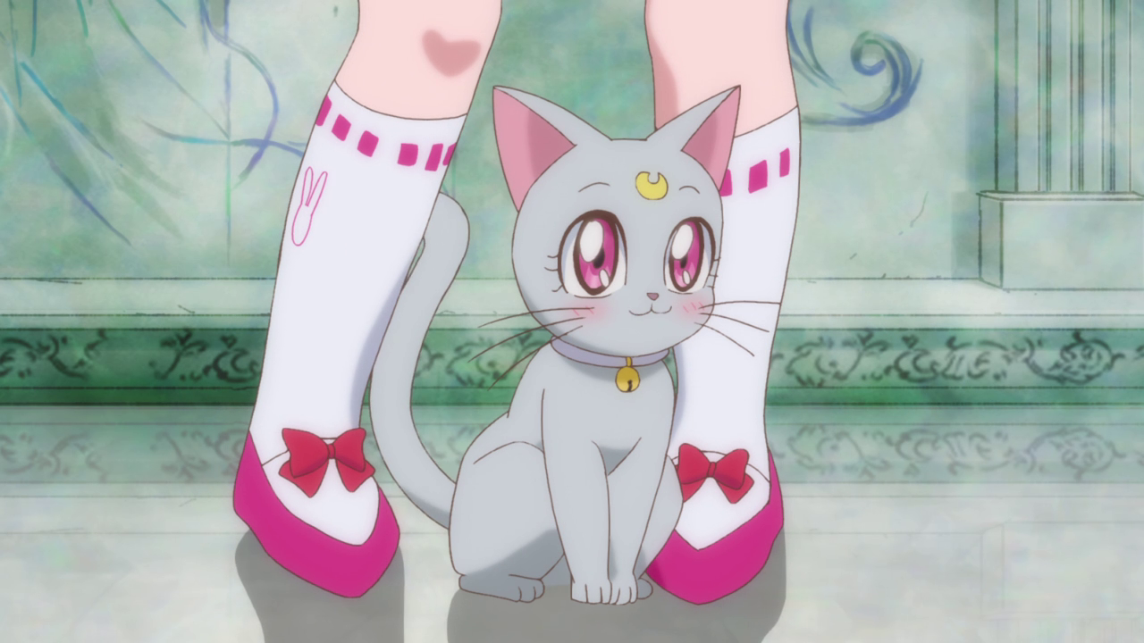 tuxedopiplup:  my fave kitty