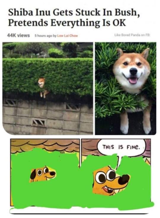 This is fine.