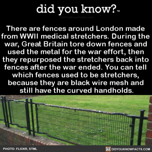 did-you-know:  There are fences around London made from WWII medical stretchers. During the war, Great Britain tore down fences and used the metal for the war effort, then they repurposed the stretchers back into fences after the war ended. You can tell