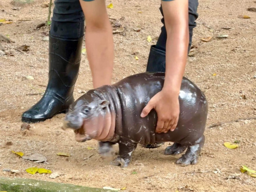 Mutuals I'm Picking You Up Like This