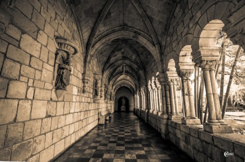 socialfoto:Monastery of St Bernard de Clairvaux by Carsus