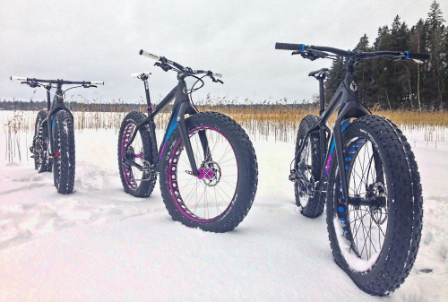oldklein: Three is better than one… Salsa Beargrease carbon - Fat-bike.fi