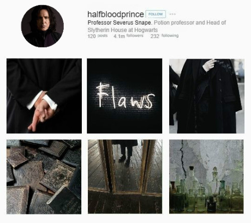 adeoetregina:INSTAGRAM AU>> the Harry Potter Series >> the Order of the Phoenix (selecti