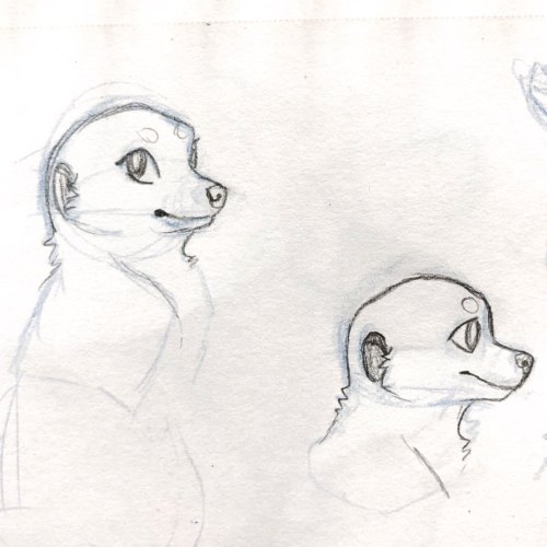 I filled in four pages of meerkats in the sketchbook for my Illustration class. I was told to draw t