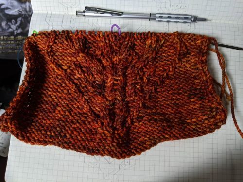 Hi folks! I&rsquo;m on day 30 of a migraine caused by 3 minutes on Ravelry. Screens amplify the mig