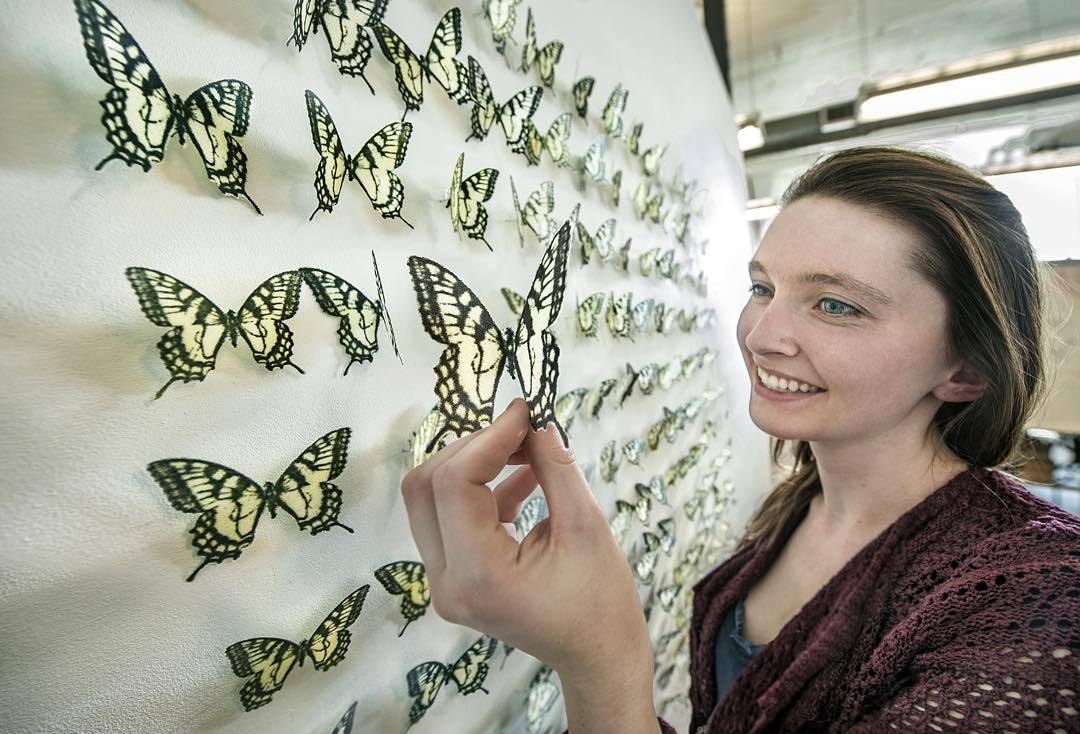 Glass major Alyssa Ziemba’s #glass #butterfly installation catches a little spring light. #clevelandinstituteofart (at The Cleveland Institute of Art)