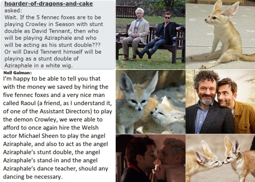 blogdeepbelieverbouquetworld:   Neil Gaiman    ❤ David Tennant as Fennec Foxes 