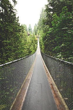 moody-nature:  Capilano Suspension Bridge