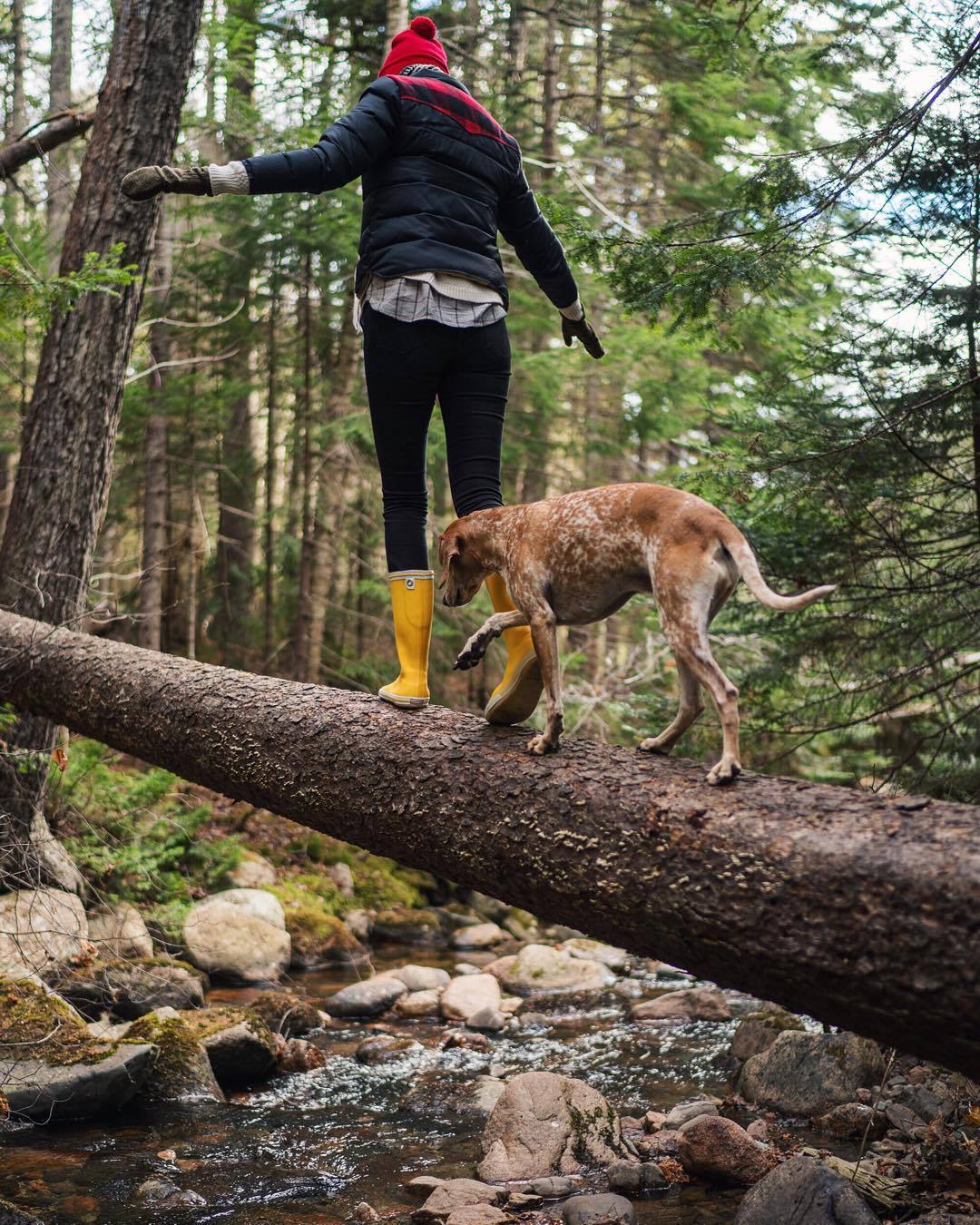 landscape-photo-graphy:Nomadic Photographer  Theron Humphrey Chronicles His Adventures