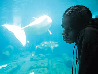A story of a blind Black boy who could see with sound