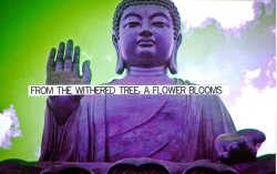 Purple Buddha project