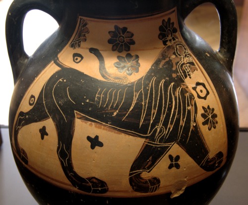 A lion.  Attic black-figure amphora, attr. to the Gorgon Painter; ca. 600-575 BCE. Now in the Louvre
