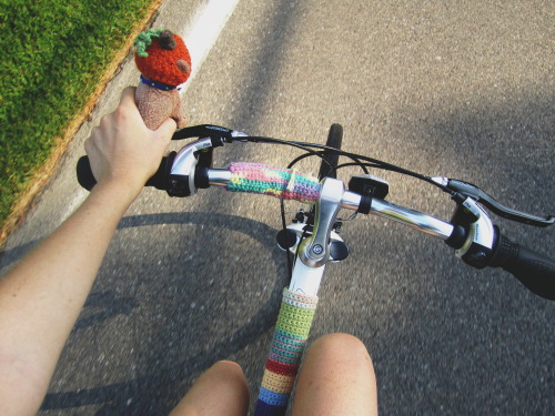 zauberbear: Bike rides.