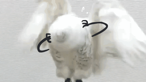 聖井戸御代 Explore Tumblr Posts And Blogs Tumgir 聖井戸御代 Explore Tumblr Posts And Blogs Tumgir