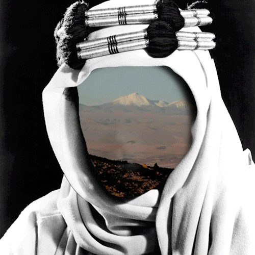 bader-alammar: ٨٧