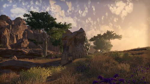 Northern Elsweyr 