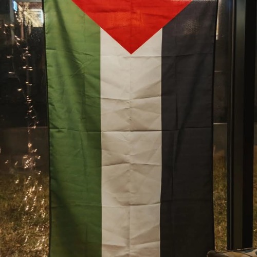 A photo of a Palestinian flag.