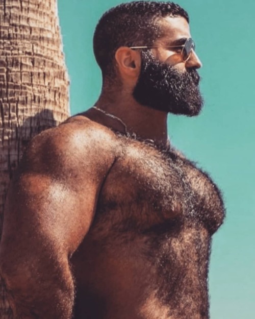 what do u think abt this guy ?!tag him #beard #beardedmen #bear #hairy #hairychest #hairygay #gaydud